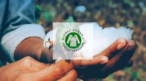 Why choose organic cotton: the Global Organic Textile Standard certification