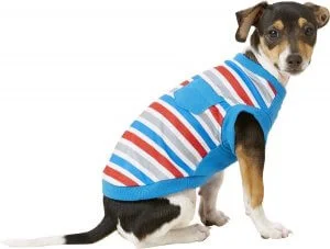 Dog T-shirts: the perfect gift idea for four-legged friend lovers