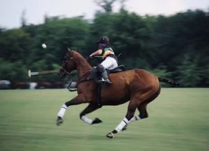 The perfect women's polo shirt for horse riding? A personalized one!