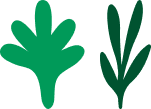 Biologische of gerecyclede producten