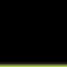 171 - Black/Lime