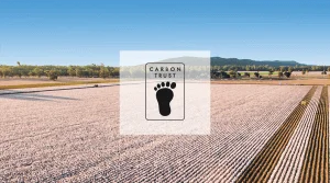 Waarom kiezen voor biologisch katoen: het verkleint je ecologische voetafdruk.